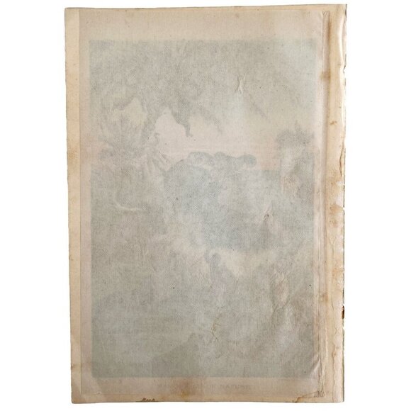 Panorama Of Nature Lithograph 1887 Victorian Animals Art Print Sea Land DWEE19 - Picture 3 of 3